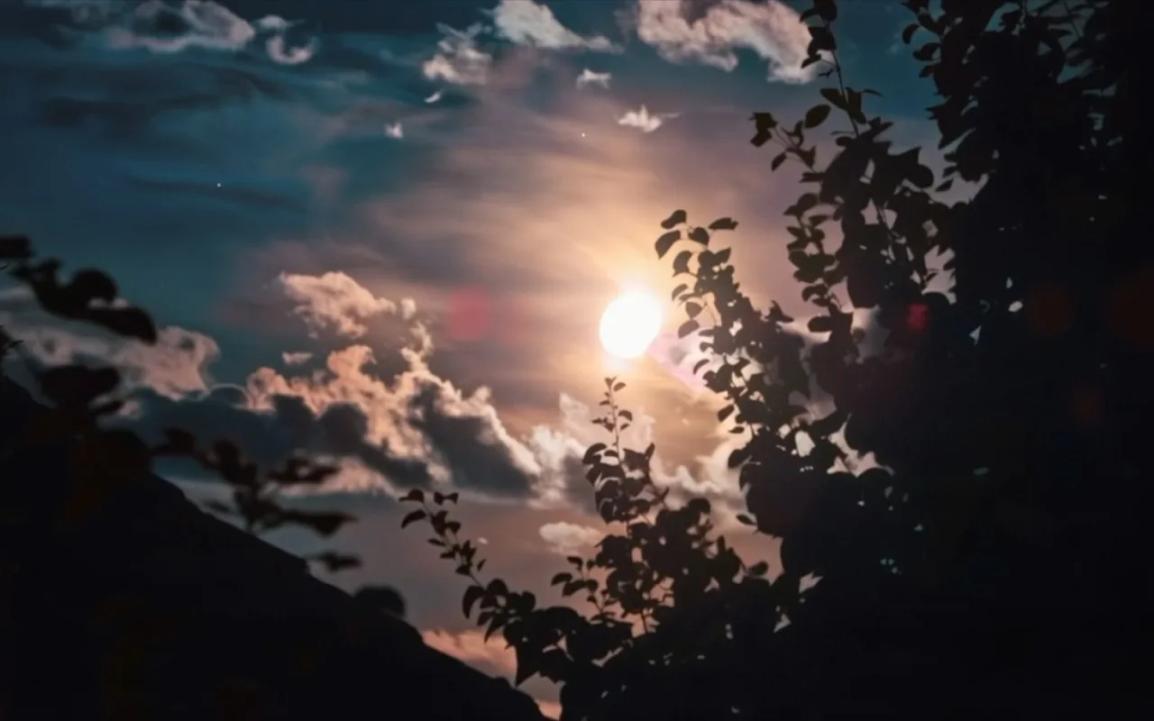 Moon at Midnight live wallpaper preview