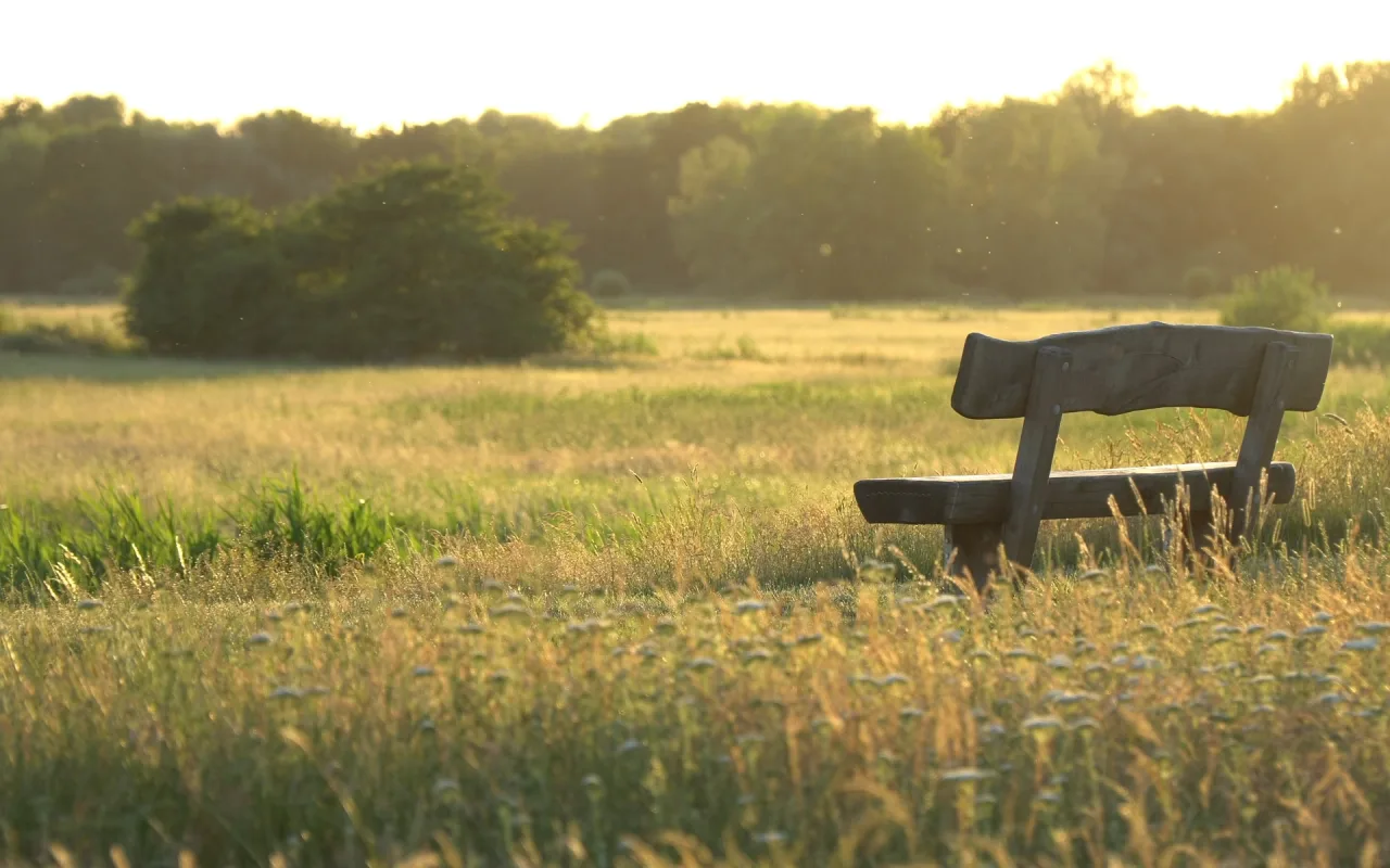 Wooden Bench Under Sunset live wallpaper preview