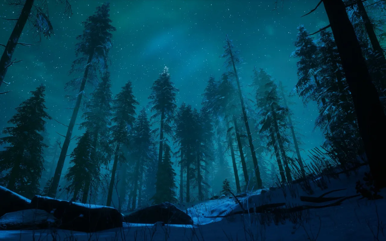 Aurora Forest Night live wallpaper preview