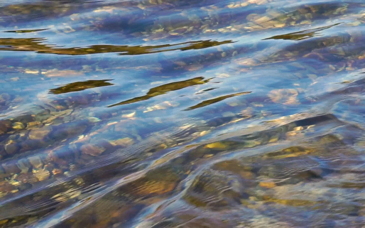 Mountain Stream live wallpaper preview