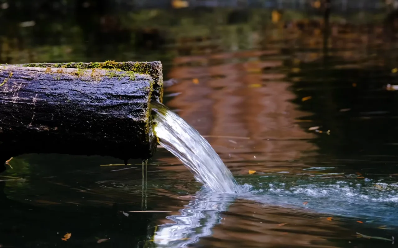 Hollowed Tree Trunk Fountain live wallpaper preview