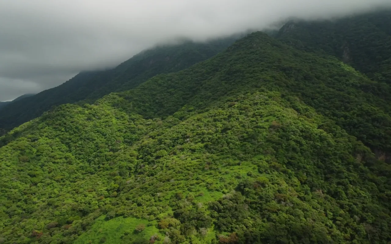Tropical Mountain live wallpaper preview