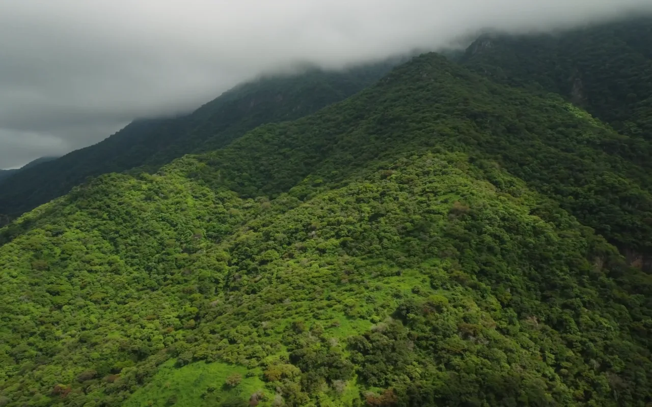 Tropical Mountain live wallpaper preview