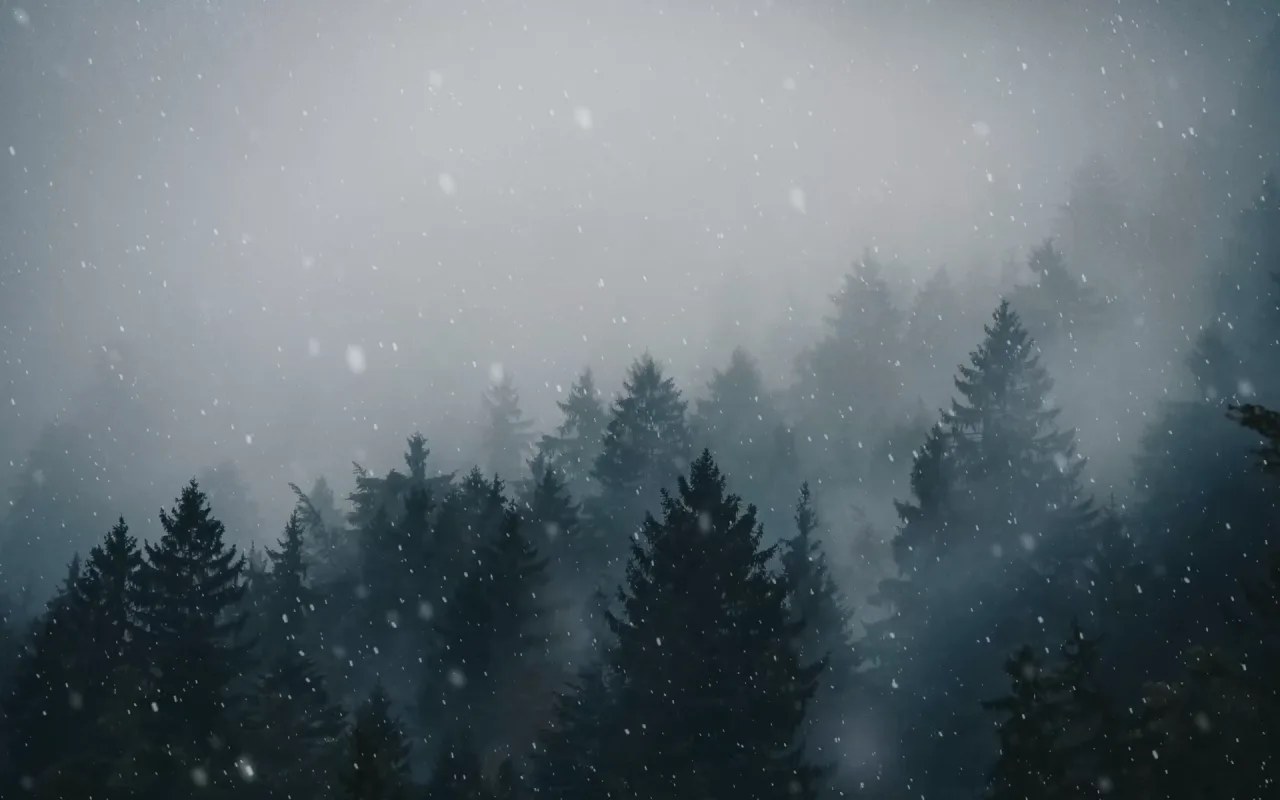 Snowy Forest live wallpaper preview