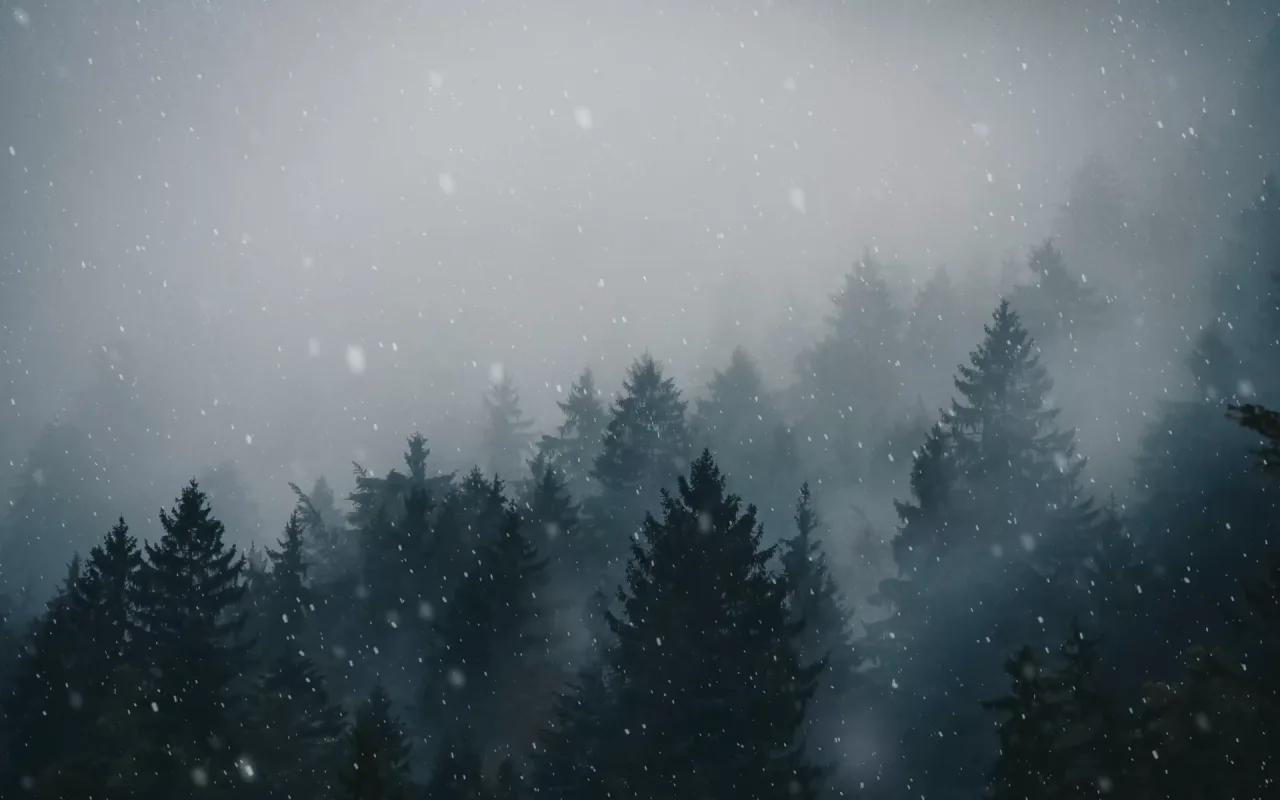 Snowy Forest live wallpaper preview