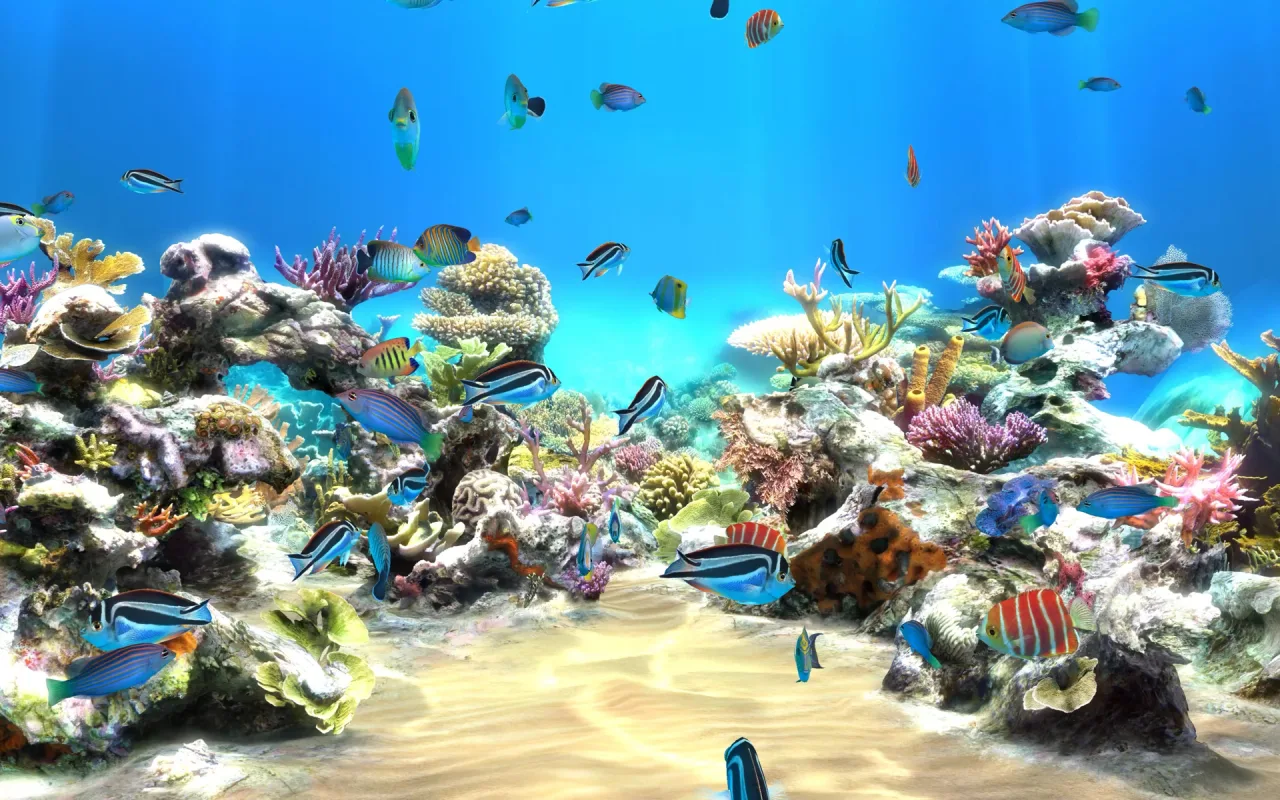 Coral Reef live wallpaper preview