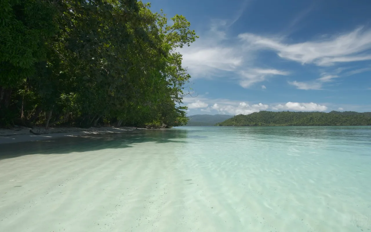 Tropical Beach live wallpaper preview