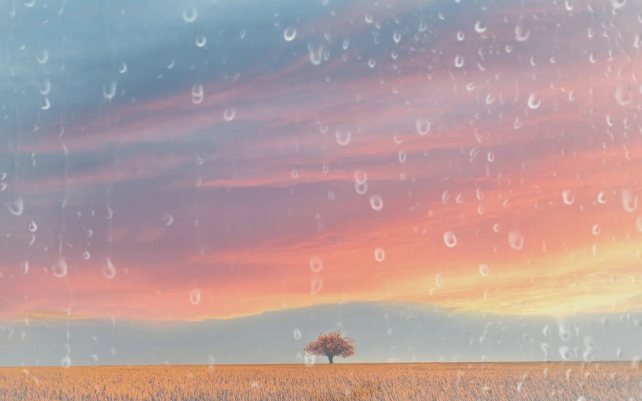 Nature's Embrace live wallpaper preview
