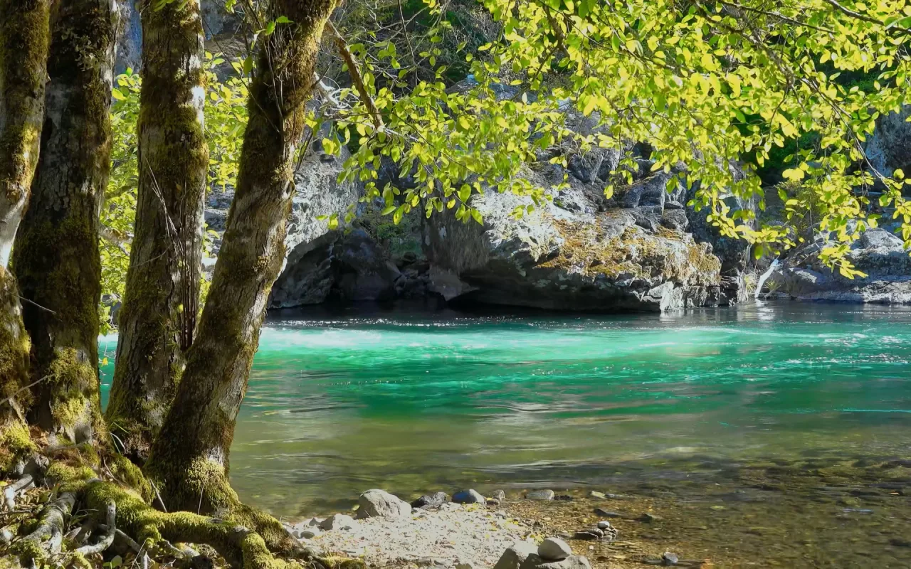 Sunny River live wallpaper preview