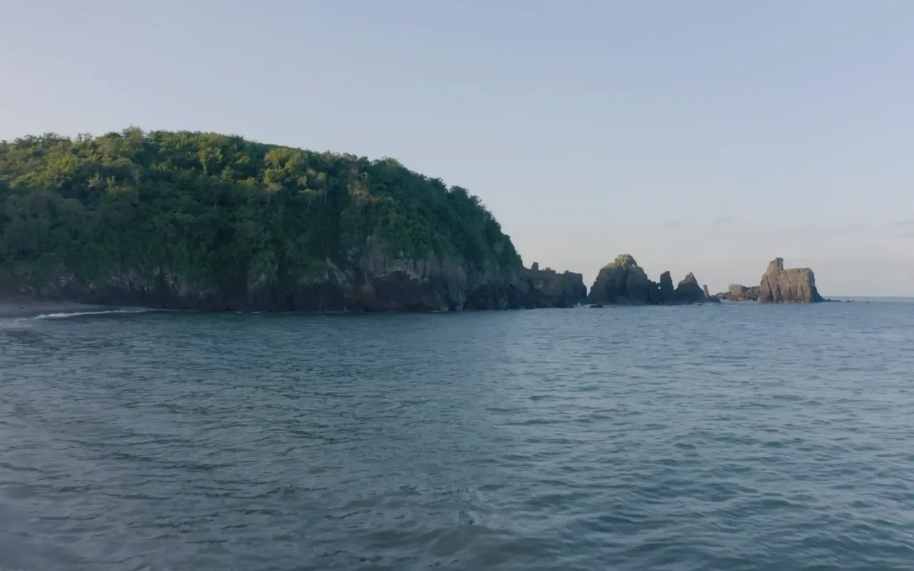Beach Flyover live wallpaper preview