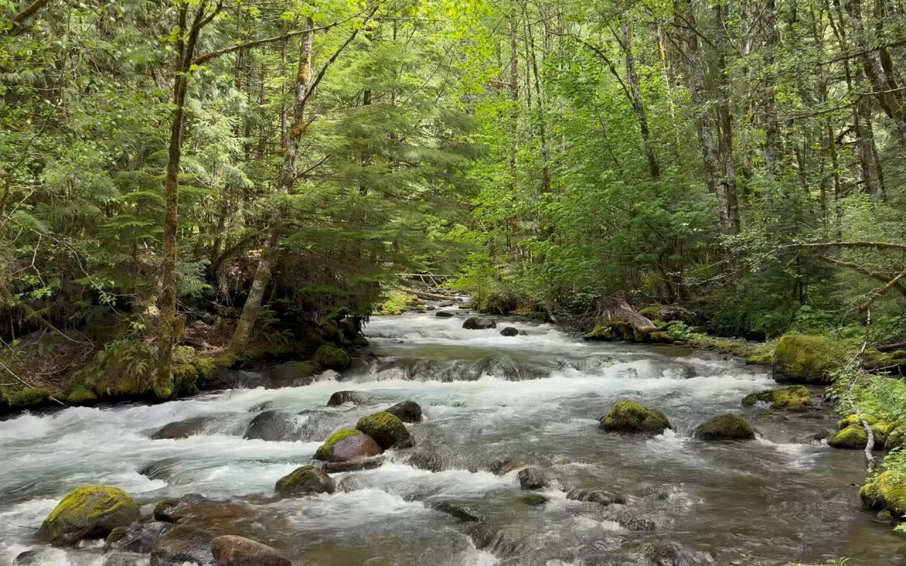 Zigzag River live wallpaper preview