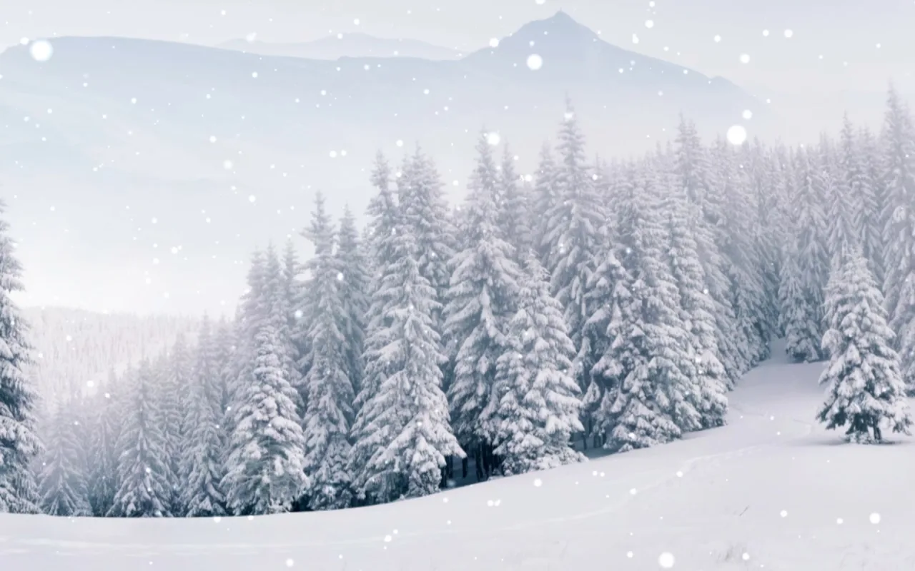 Snow Forest live wallpaper preview