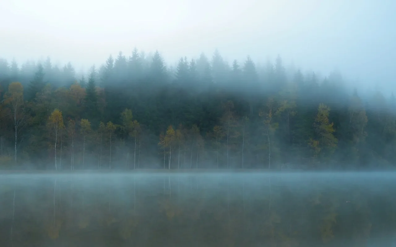 Winter Lake live wallpaper preview