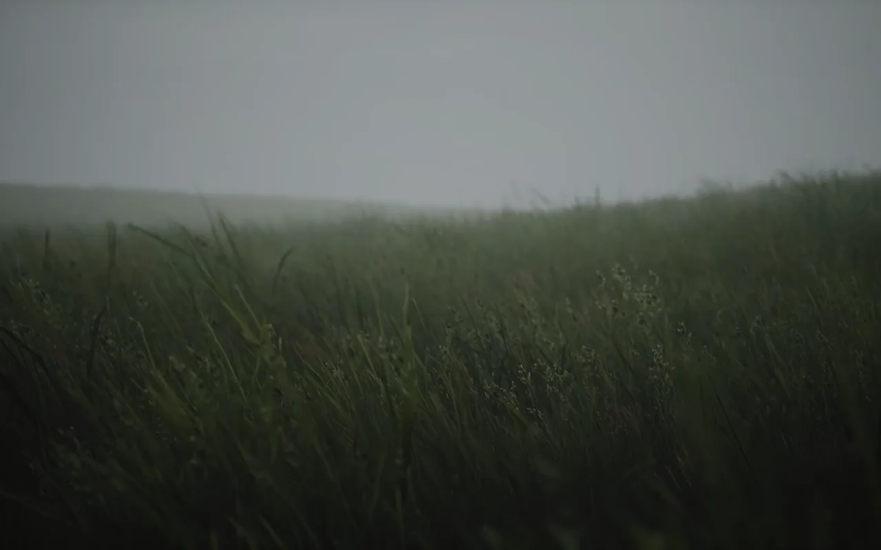 Wavy Grass live wallpaper preview