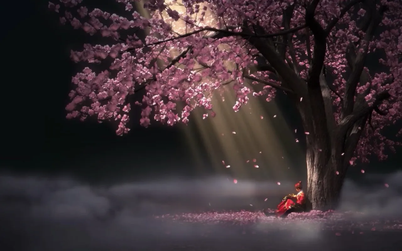 Sakura live wallpaper preview
