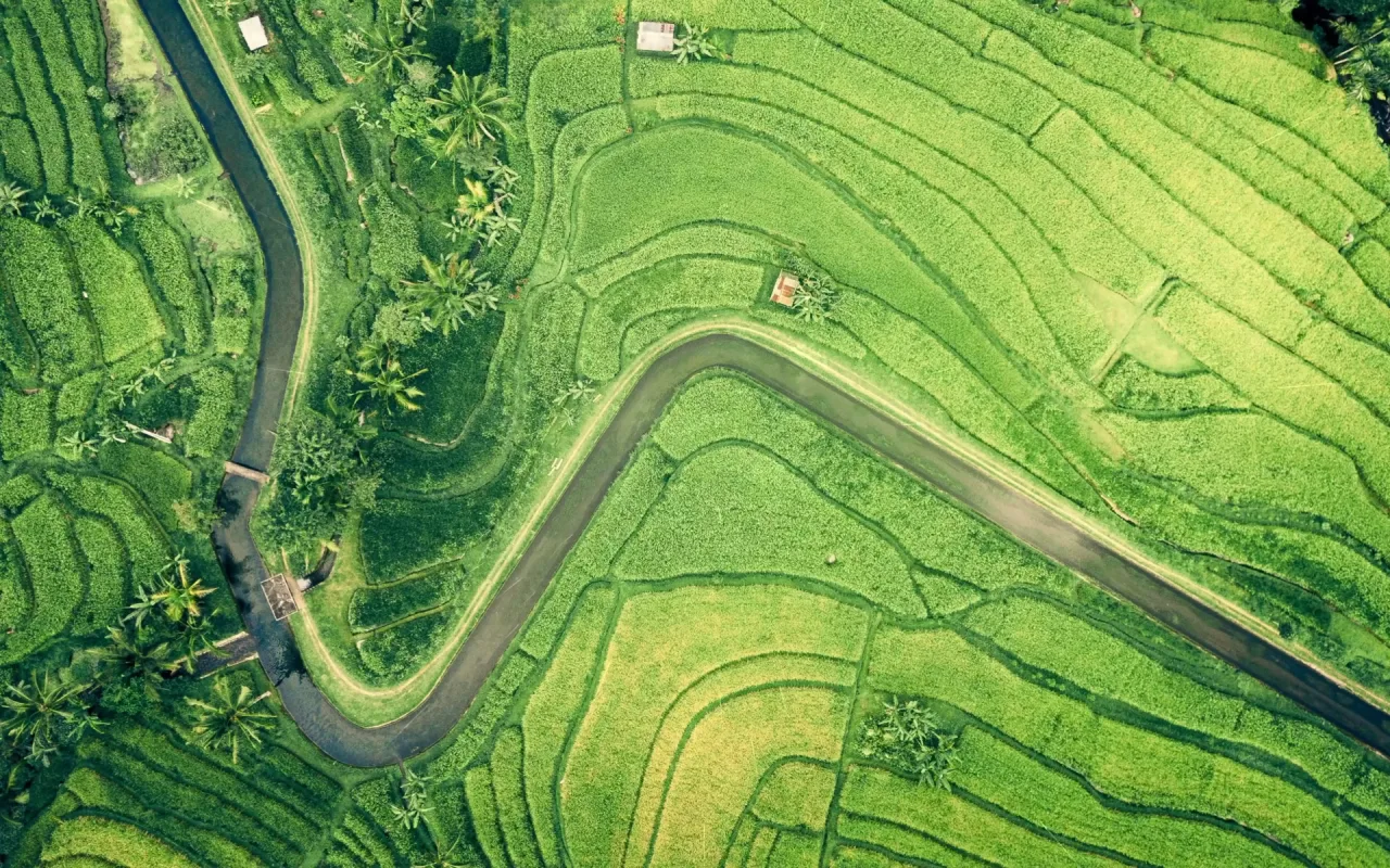 Green Fields live wallpaper preview