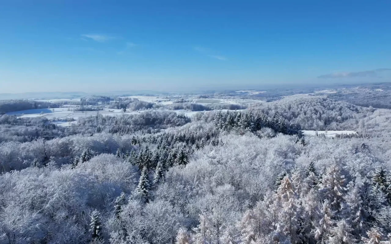Snowy Landscape live wallpaper preview