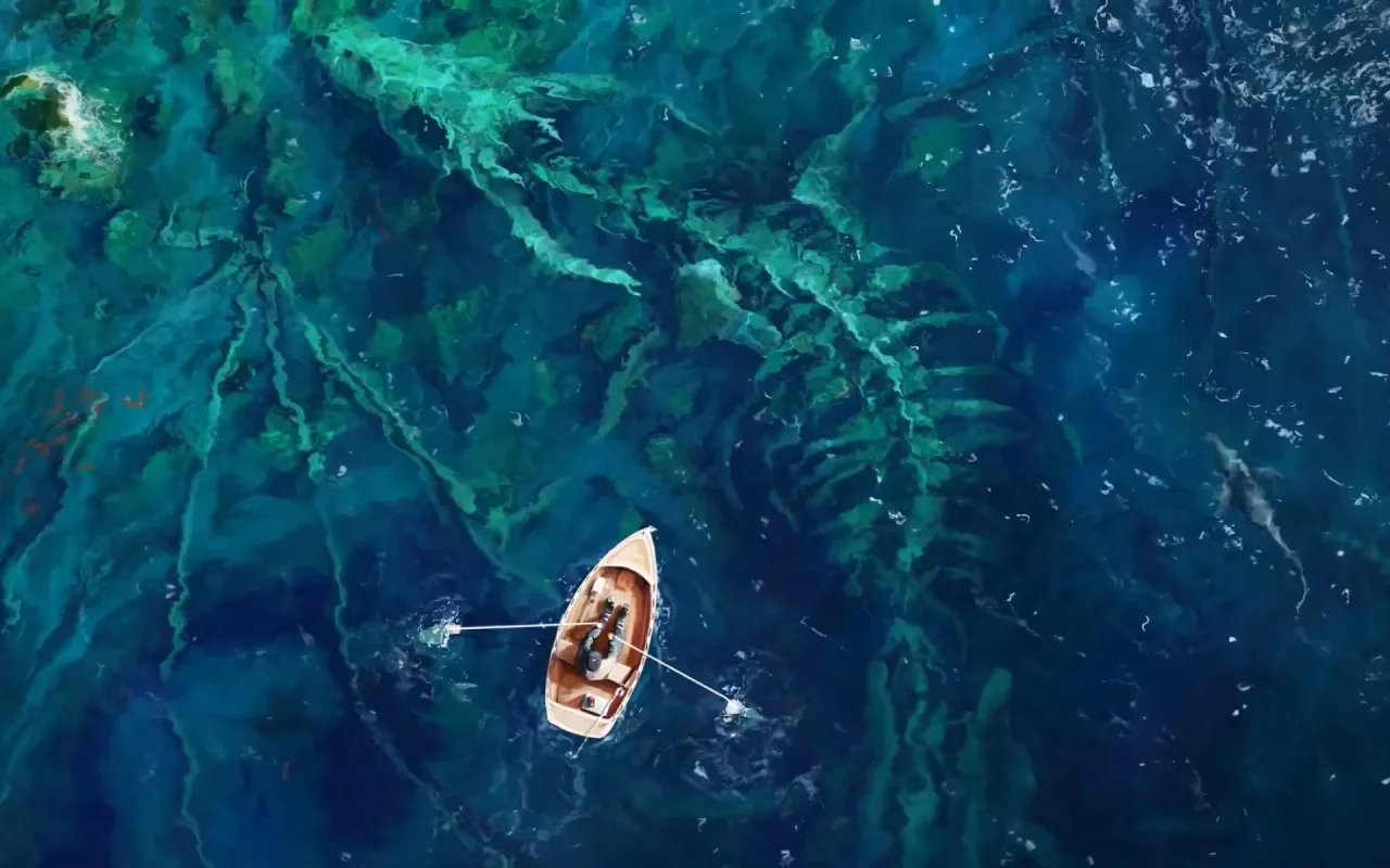 Dragon Bones live wallpaper preview