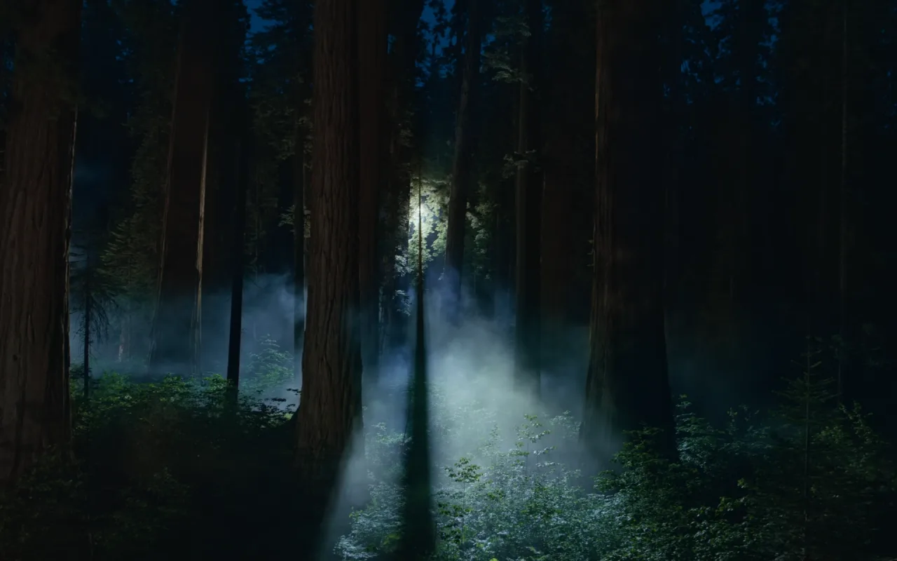 Sequoia Night live wallpaper preview