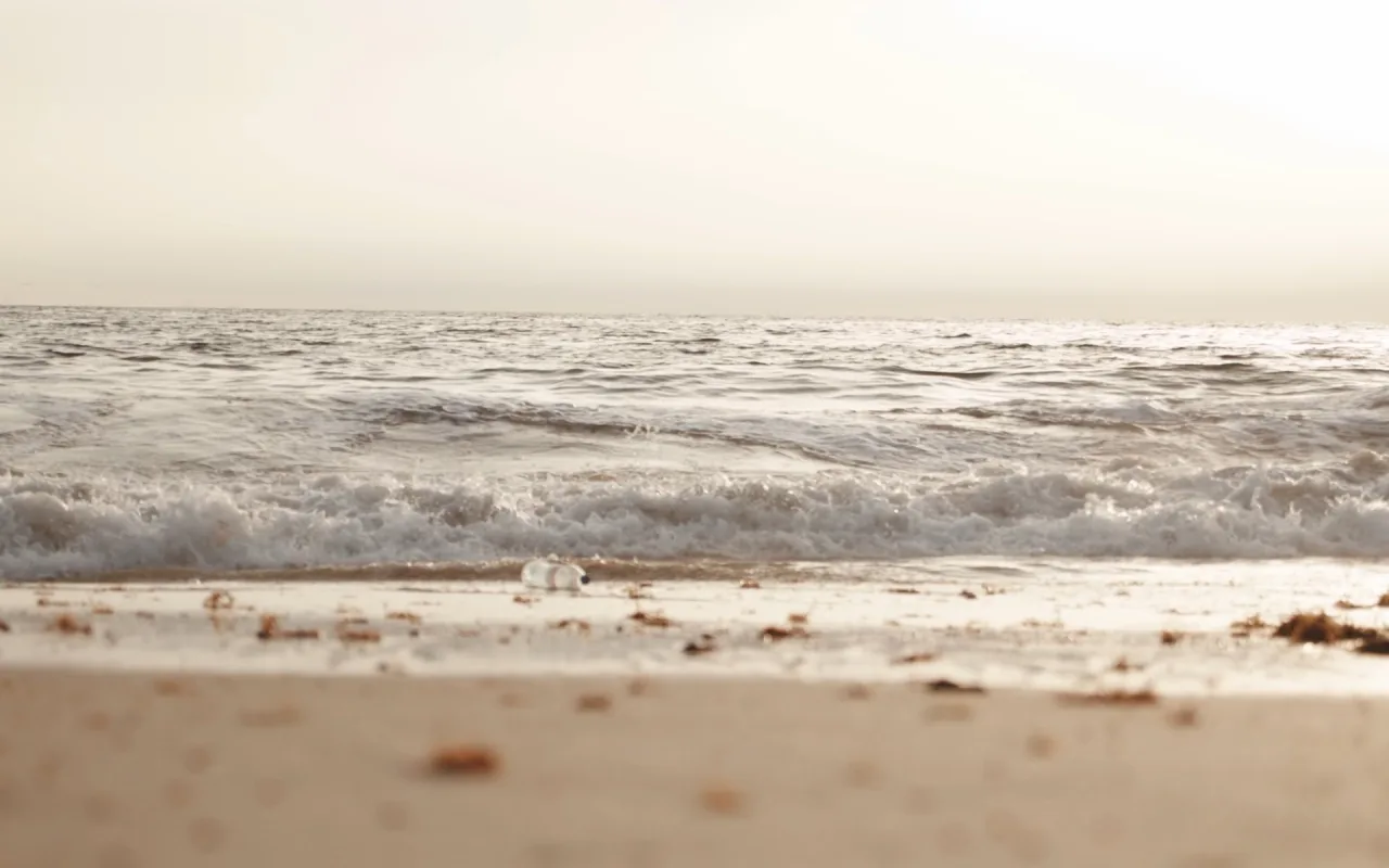 Beige Shores live wallpaper preview