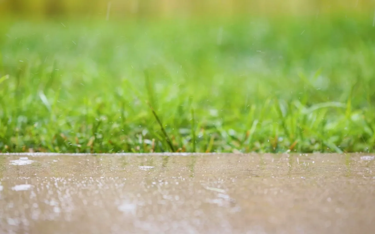 Rain Drops live wallpaper preview