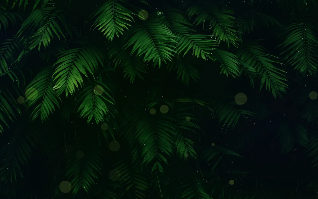Rainforest live wallpaper preview
