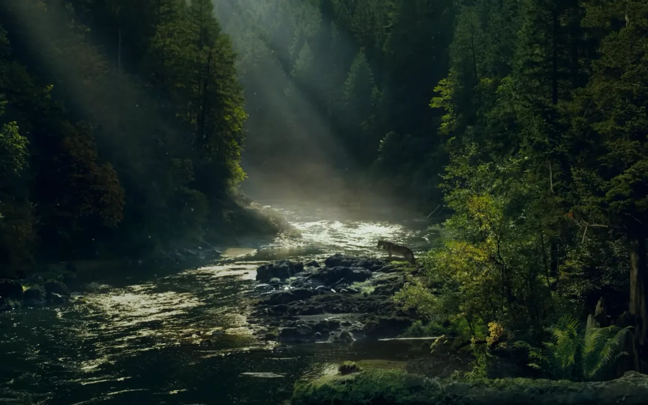 Far Cry 5 Jacob Region live wallpaper preview