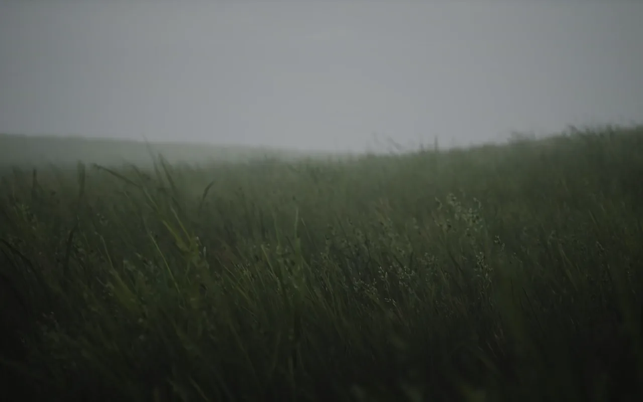 Wavy Grass live wallpaper preview