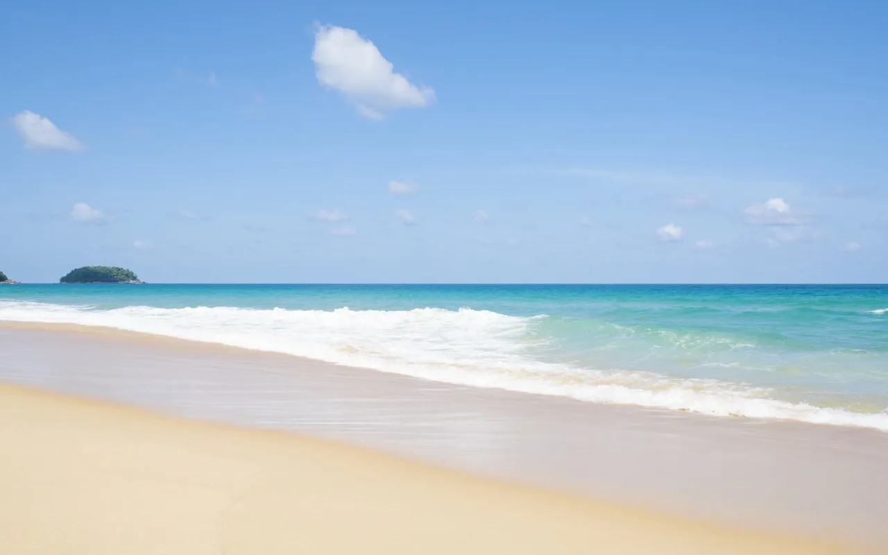 Summer beach live wallpaper preview