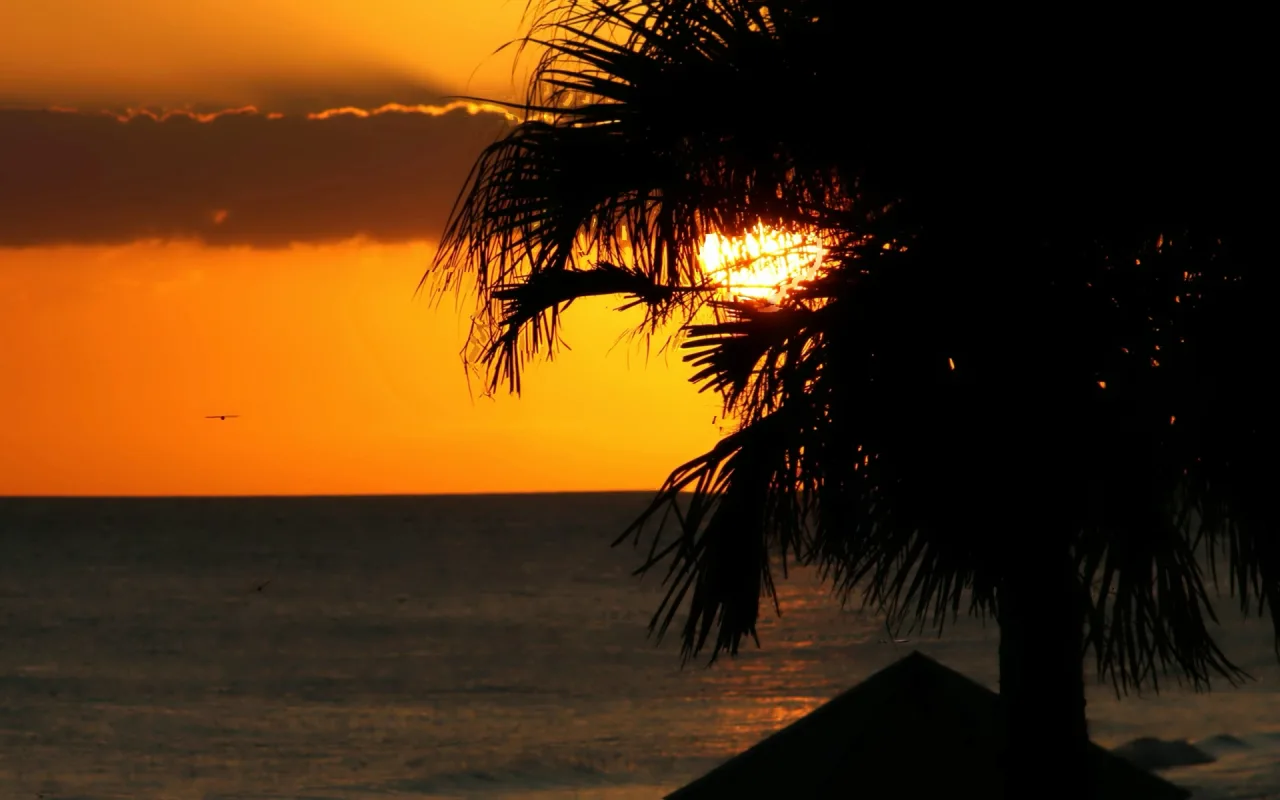 Panama City Beach Sunset live wallpaper preview