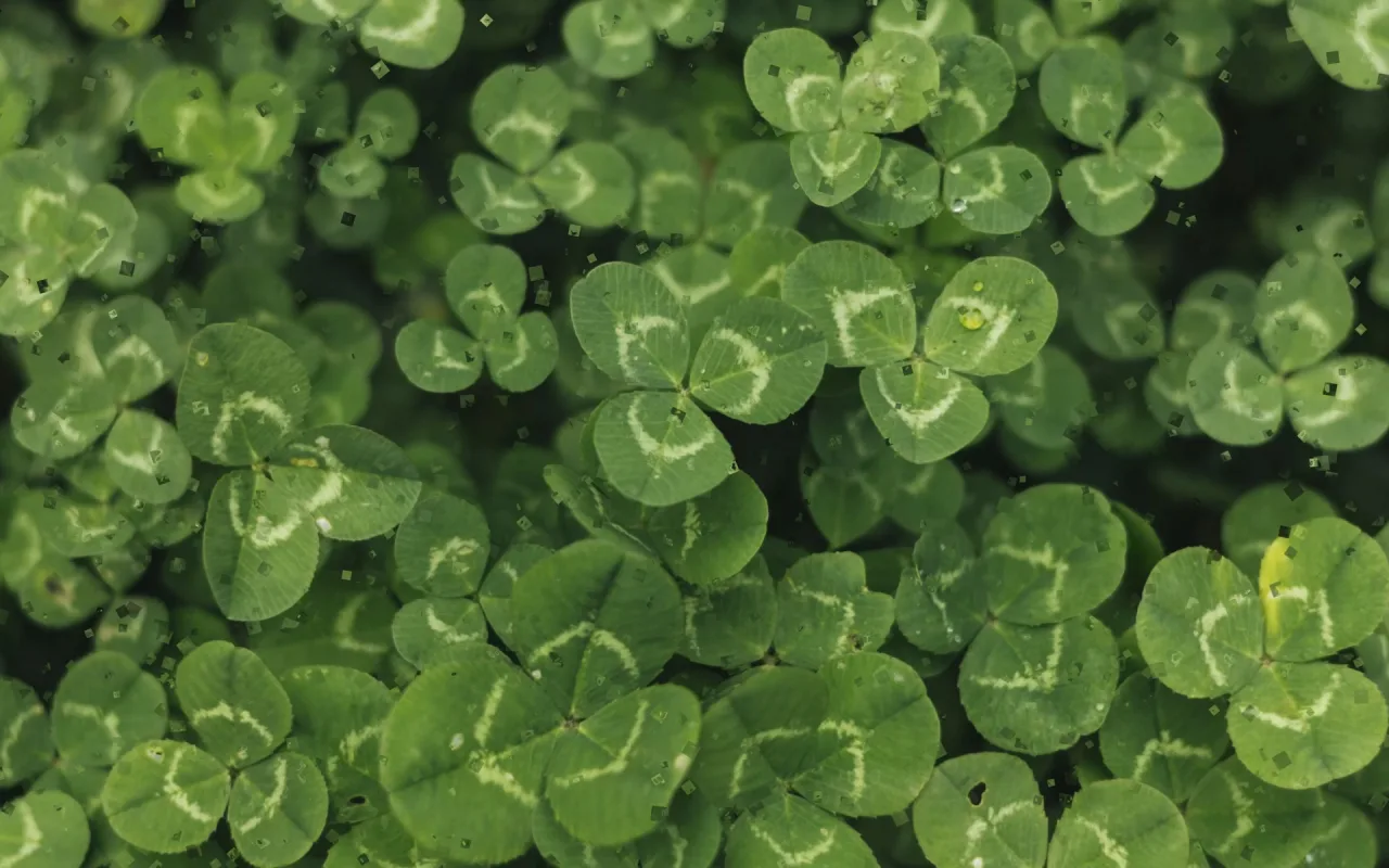 Green Clovers live wallpaper preview