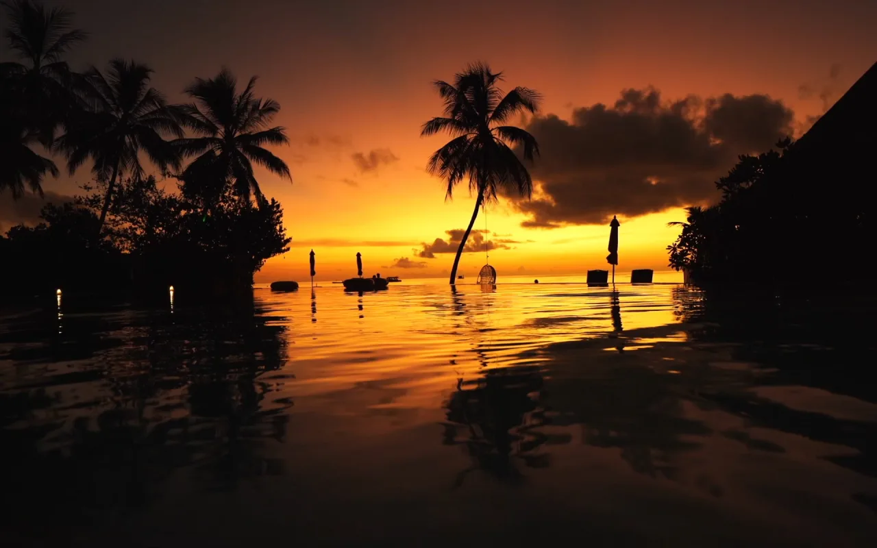 Sunset At The Pool live wallpaper preview