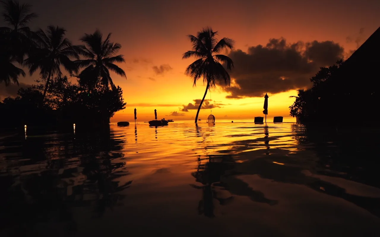 Sunset At The Pool live wallpaper preview