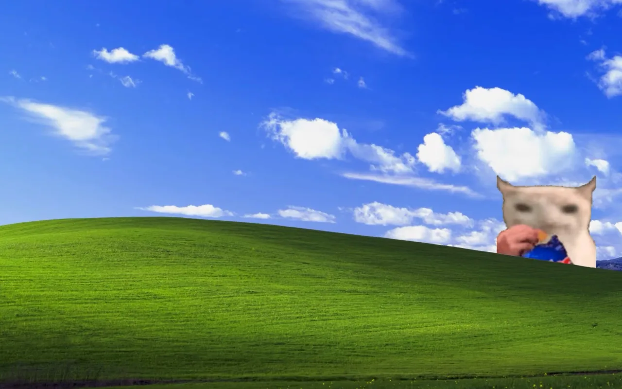 Windows XP Cat live wallpaper preview
