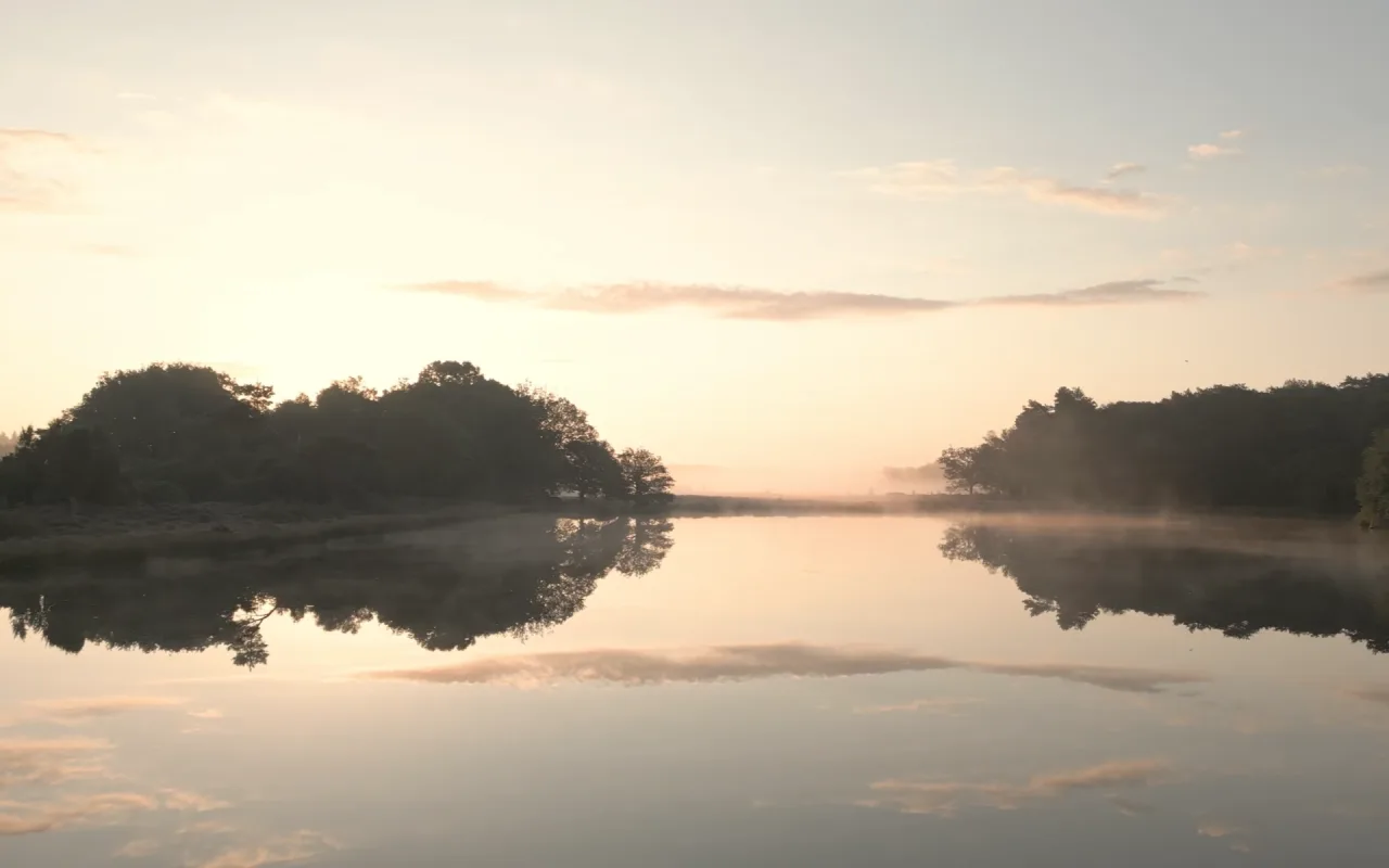 Foggy Pond live wallpaper preview