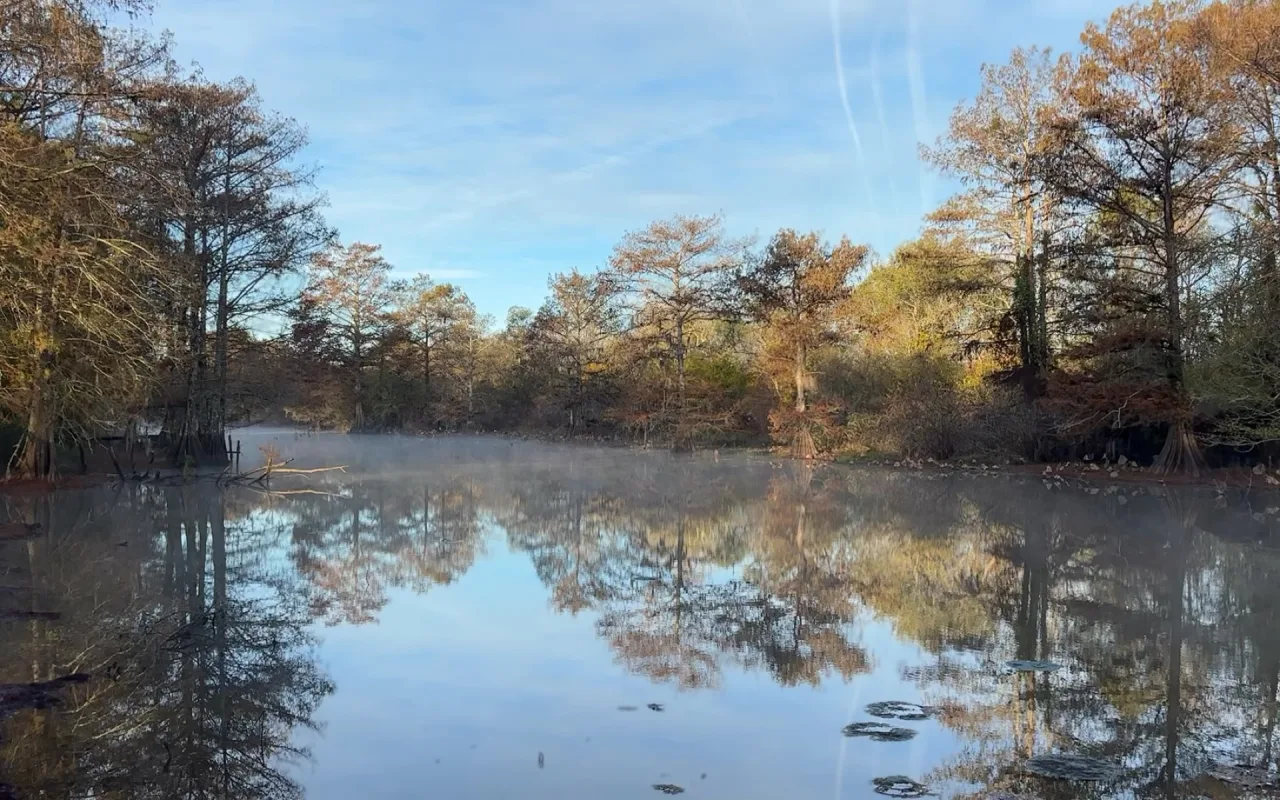 Little River Louisiana live wallpaper preview