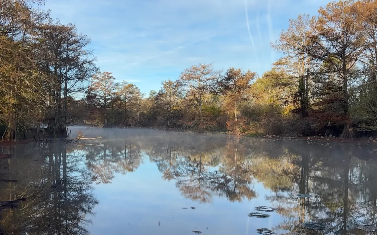Little River Louisiana live wallpaper preview
