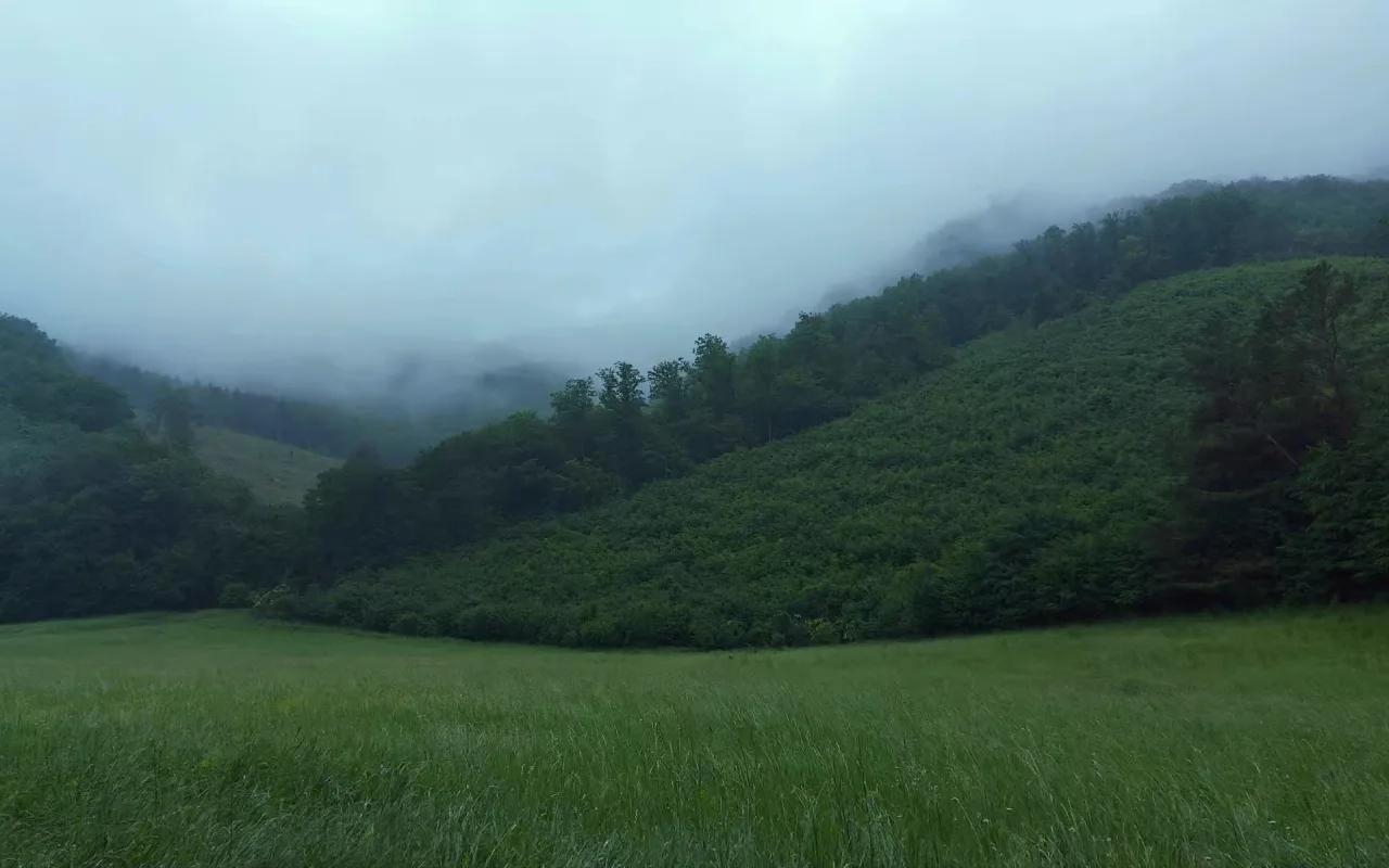 Misty Valley live wallpaper preview