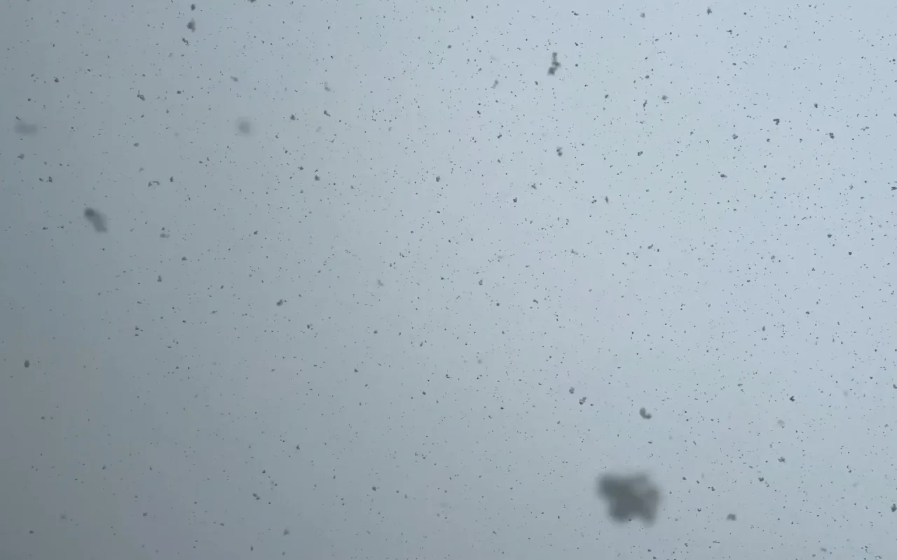 Snowfall live wallpaper preview