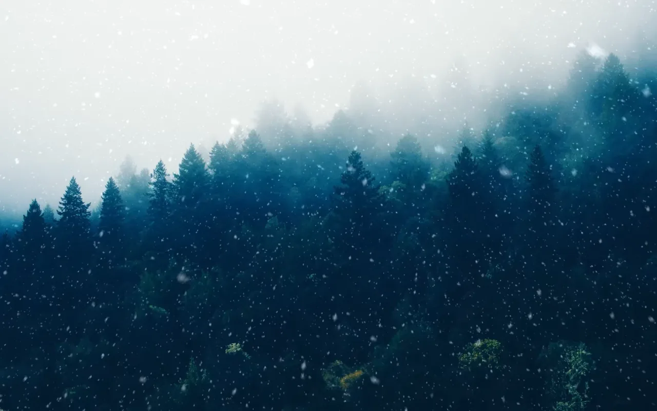 Snowy Forest live wallpaper preview