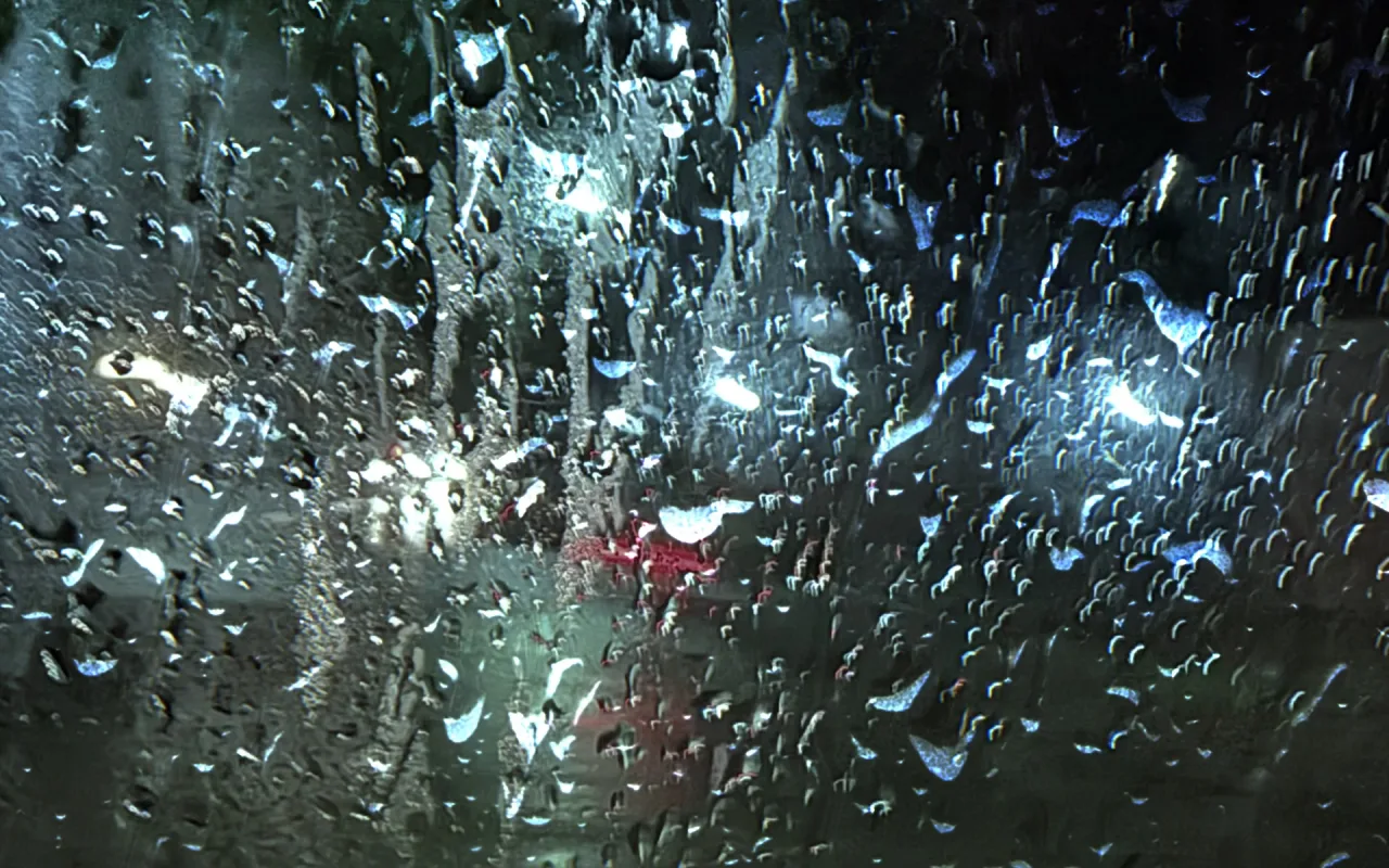 rain live wallpaper preview