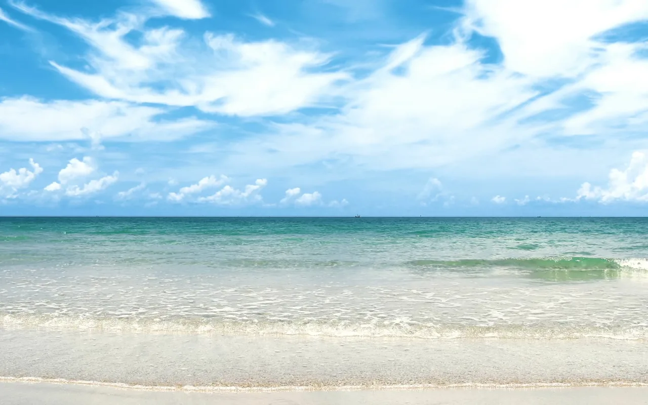 Waves Crashing on Sandy Shore live wallpaper preview