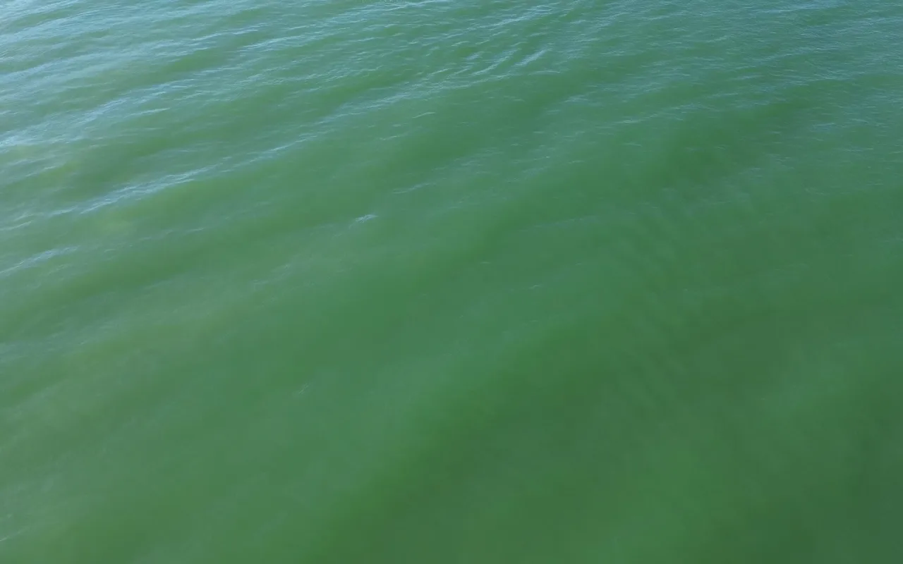 Ocean Waves live wallpaper preview