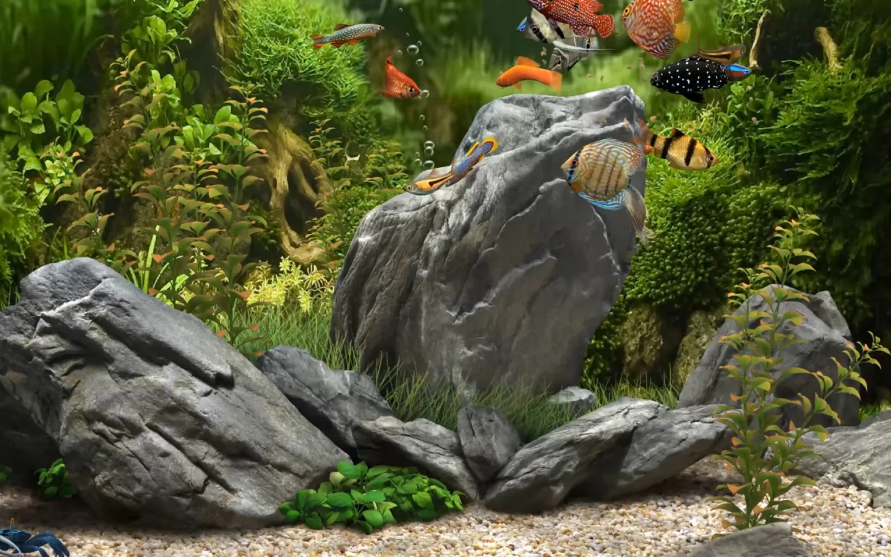 Vibrant Aquarium live wallpaper preview