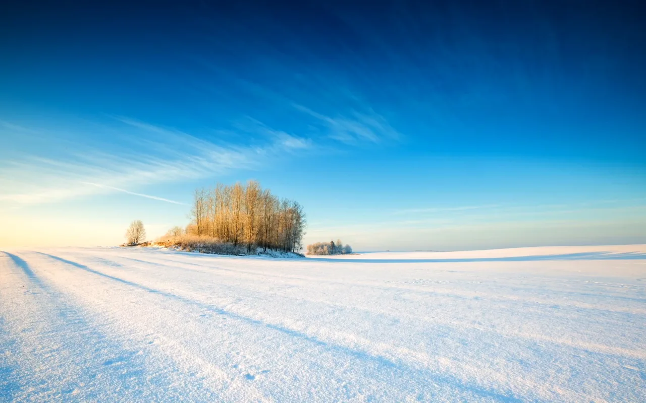 Winter Desert live wallpaper preview