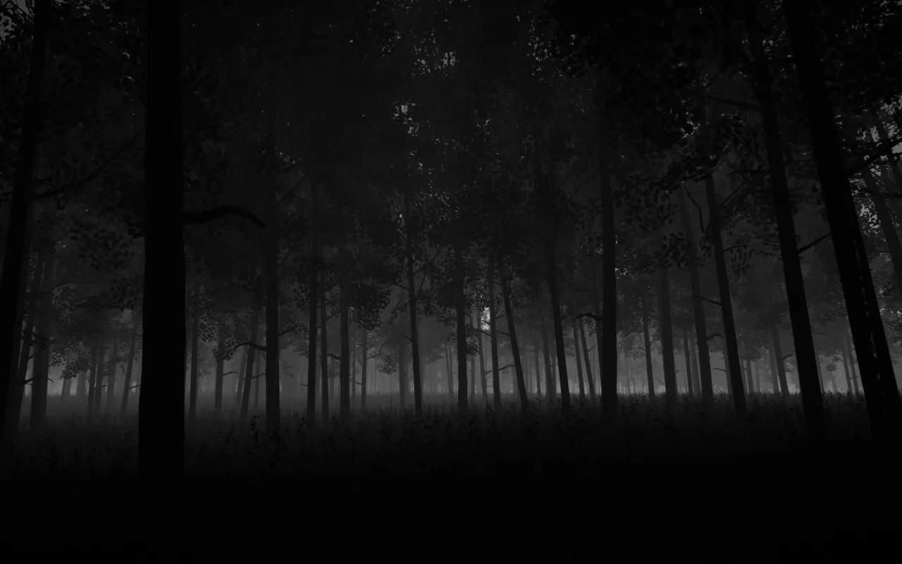 Rainy Dark Fores live wallpaper preview