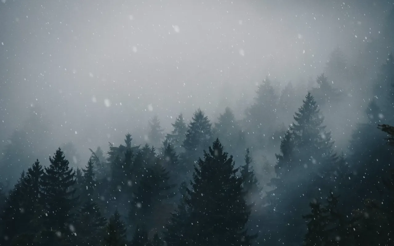 Snowfall live wallpaper preview