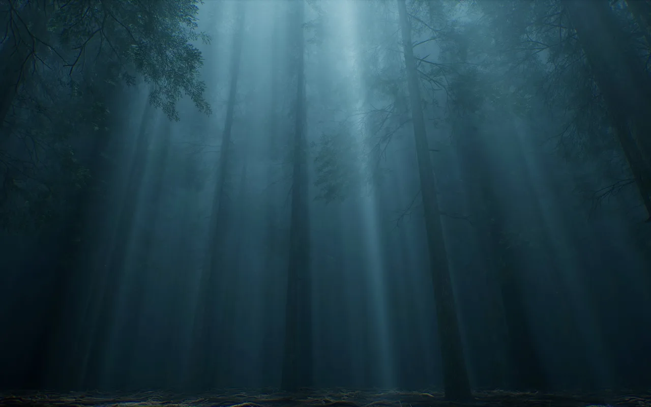 Dark Forest Light Fog live wallpaper preview