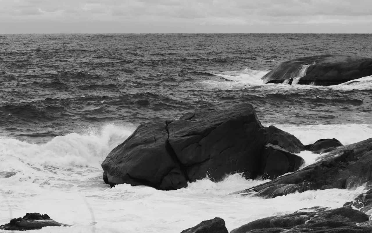 Monochrome Waves live wallpaper preview
