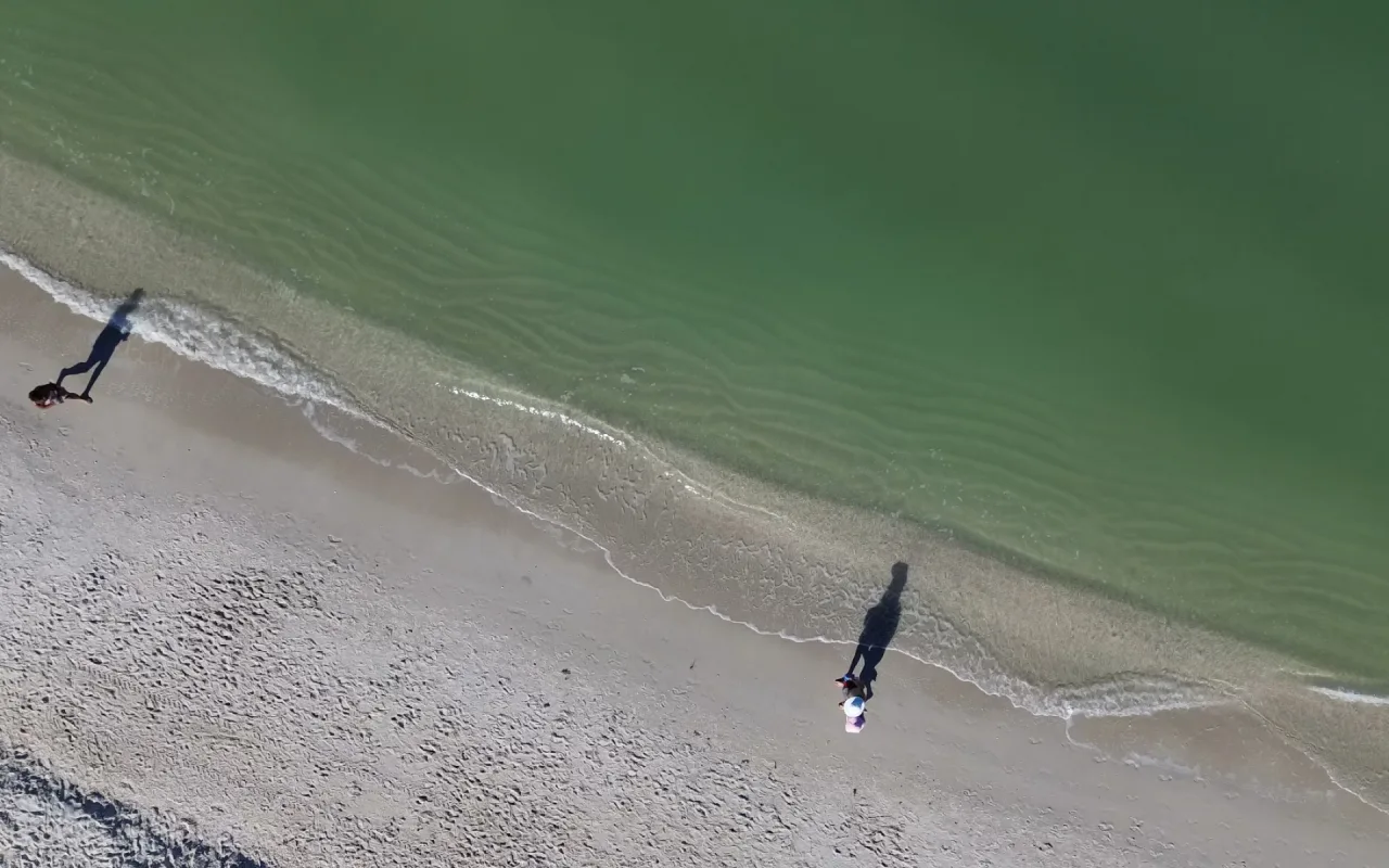 Walk on the beach live wallpaper preview